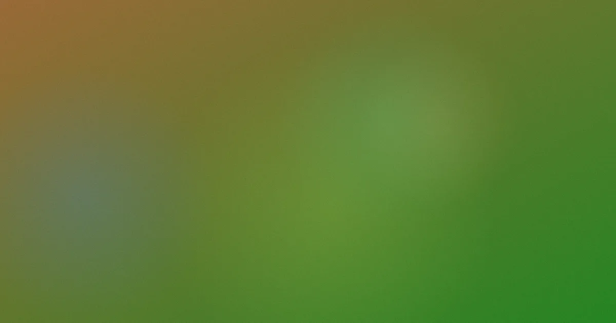 p5r是什么：一篇看懂